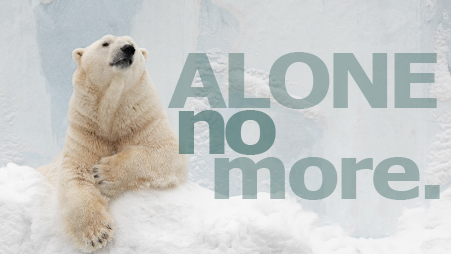 Polar Bear Alone No More 1-2 Polar Bear Alone No More 1-2