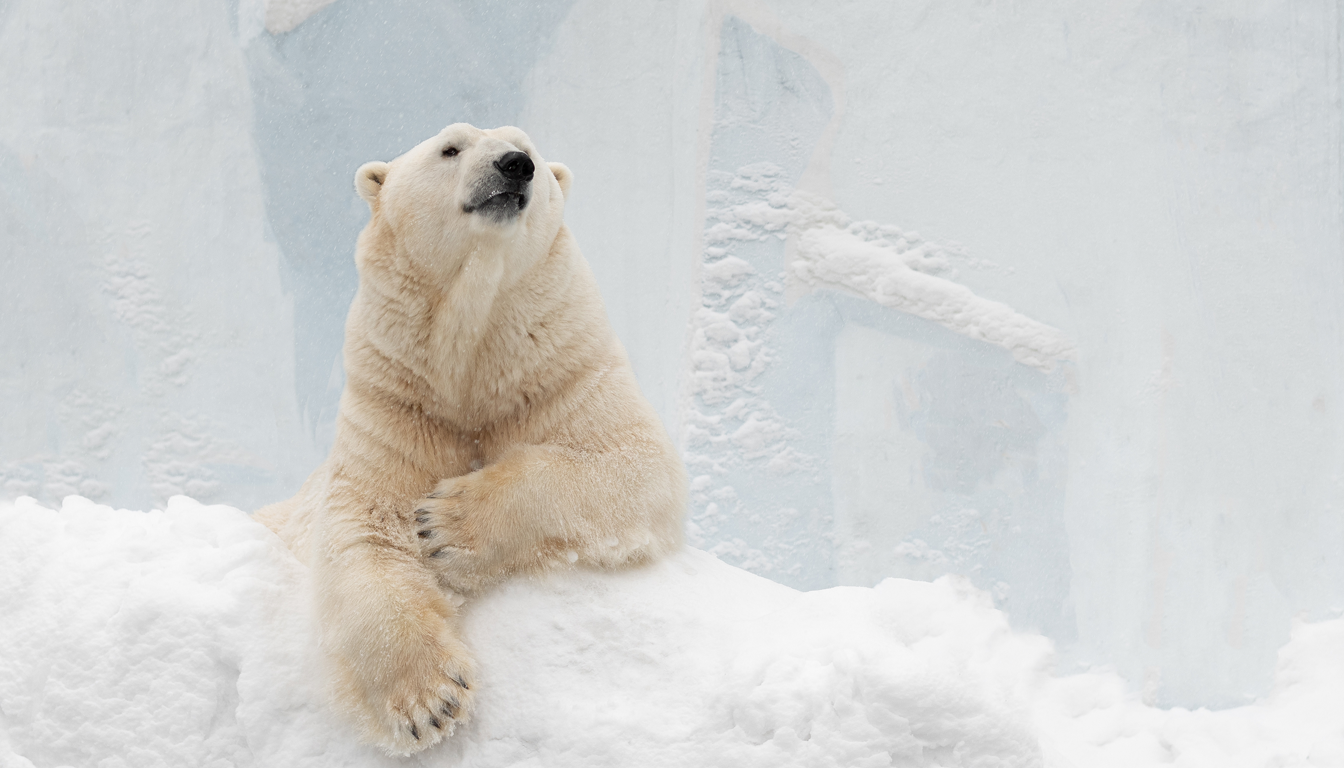 blog-post-featured-image