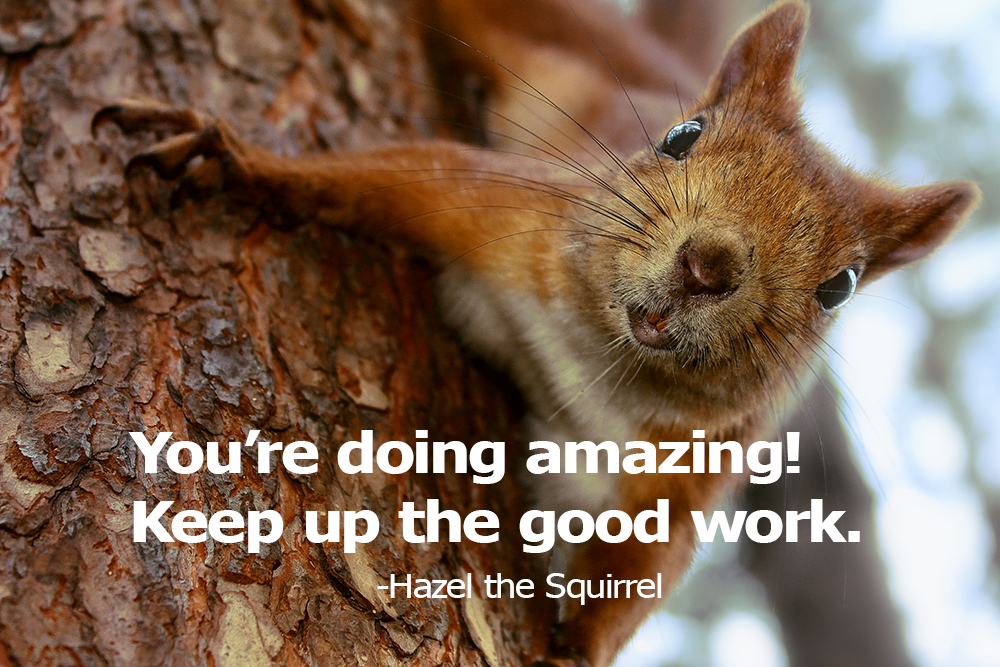 Meet Hazel Wood: The Soulful Squirrel at the Heart of Hazelwood